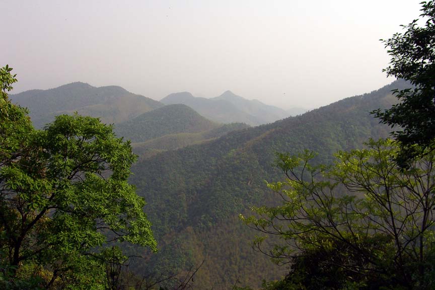 Mount Mogan