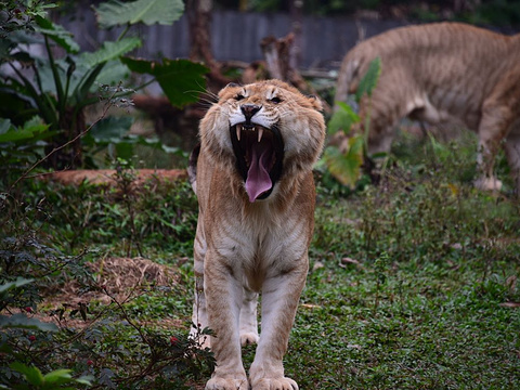 Hainan Tropical Wildlife Park and Botanical Garden