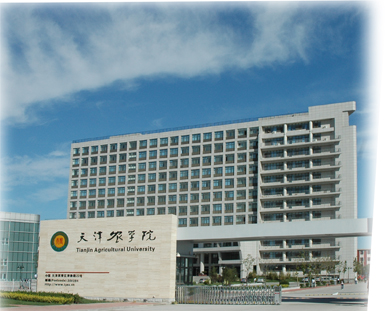 Yangliuqing Manor Tourism Area