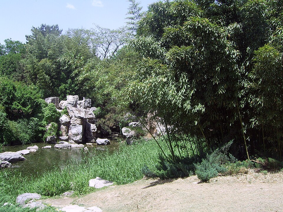 Purple Bamboo Park