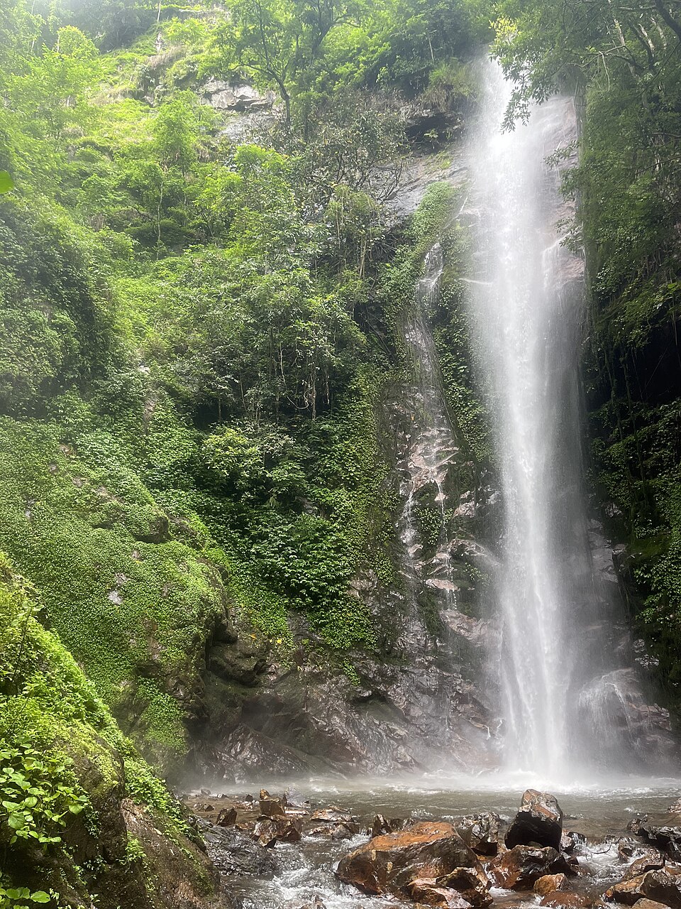 Ruili Moli Tropical Rainforest Tourism Area