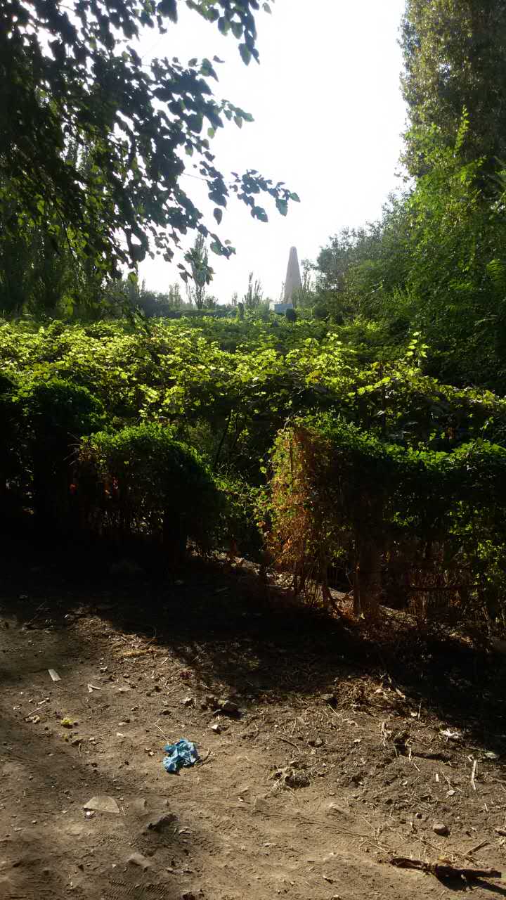 Turpan Grape Valley