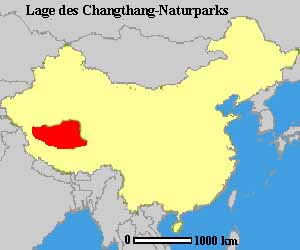Qiangtang Nature Reserve