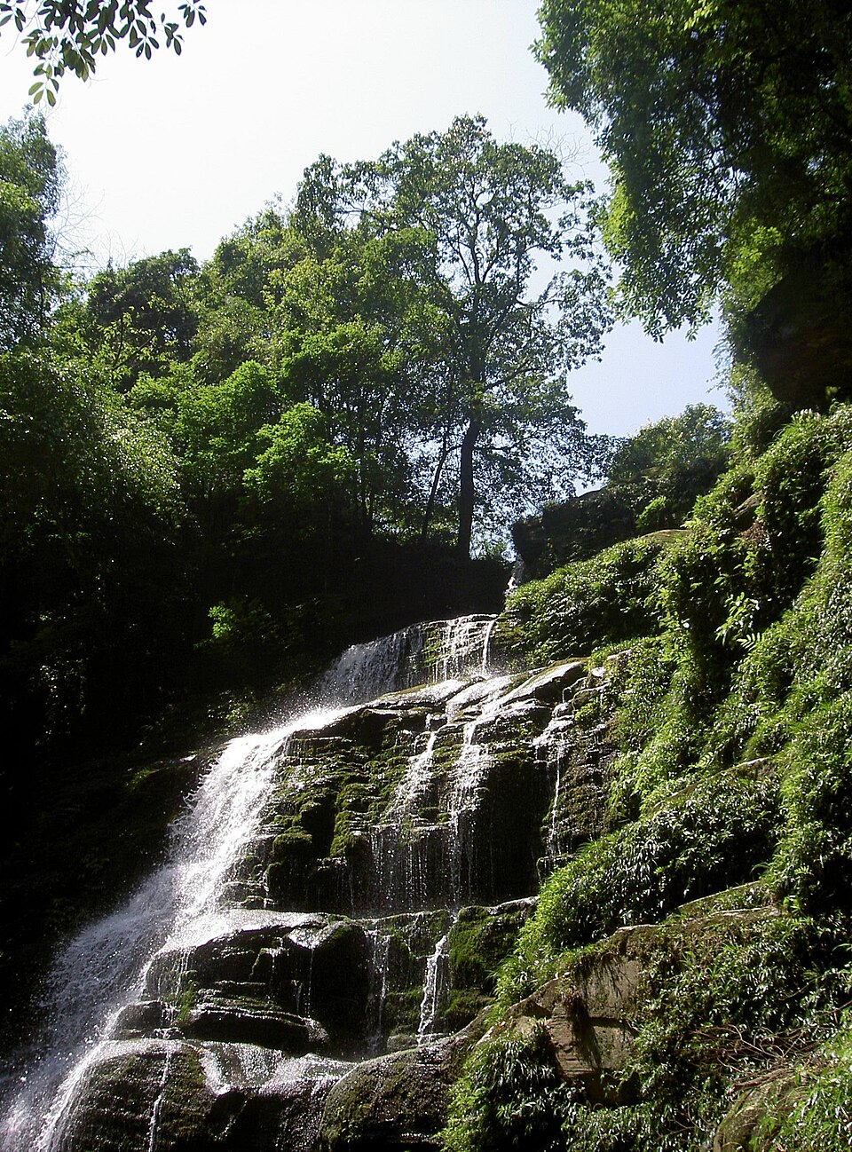 Bifeng Gorge Tourism Area