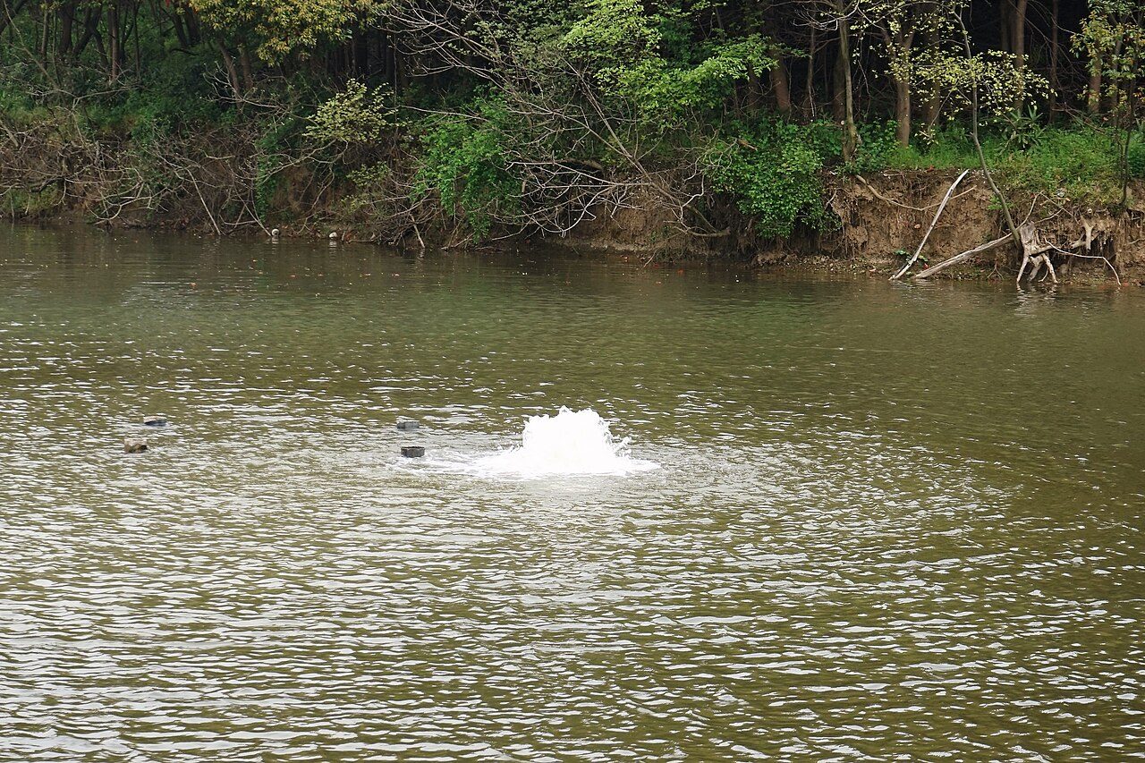 Chunqiu Yancheng (Spring and Autumn Yancheng) Ruins Park
