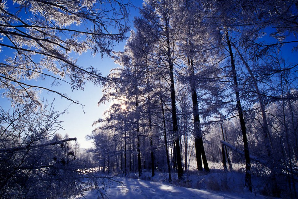 Mohe Arctic Village (Beiji Village) Tourism Area