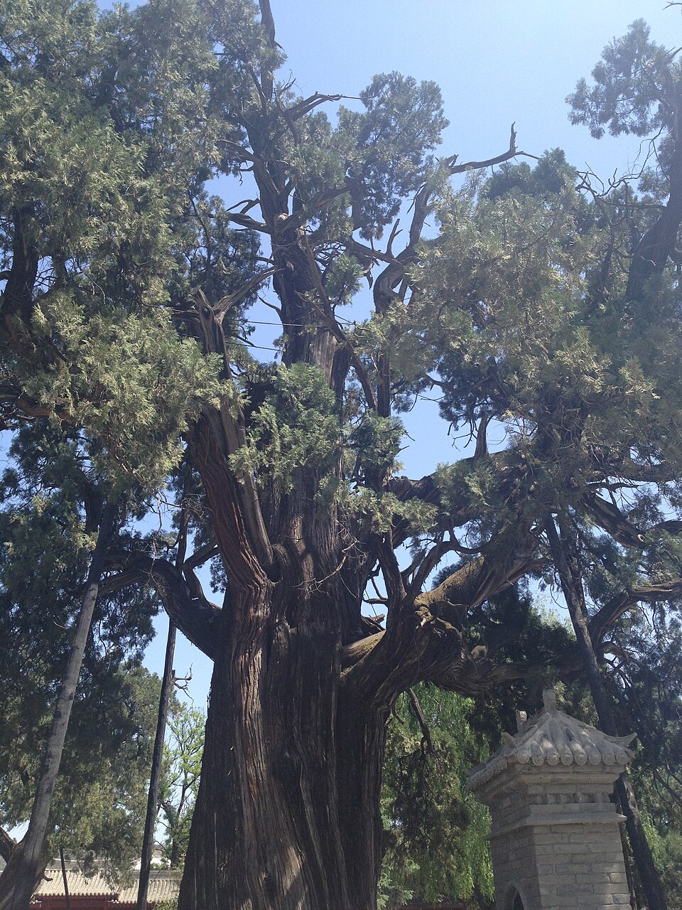 Mausoleum of the Yellow Emperor