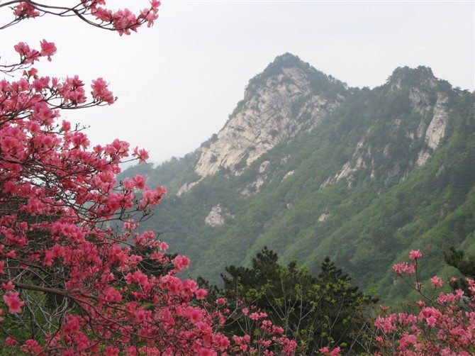 Guifeng (Turtle Peak) Mountain Tourism Area