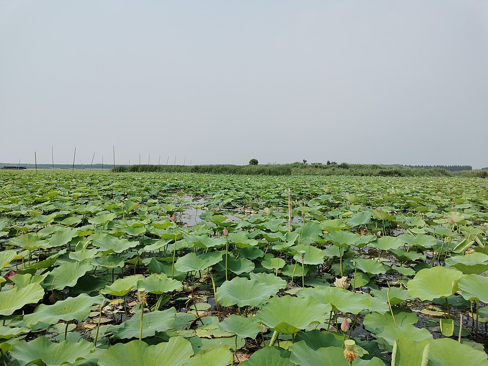 Weishan Lake Tourism Area